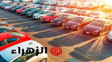 قرار نهائي.. وداعًا حبيبة الملايين وقف إنتاج هذه السيارة الشهيرة للأبد 1